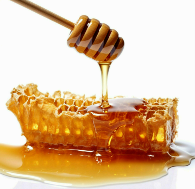 Premium Multi- Compartment Food Container Unit - Complete with 12 Single-Serve Travel Royal honey Packet Samples